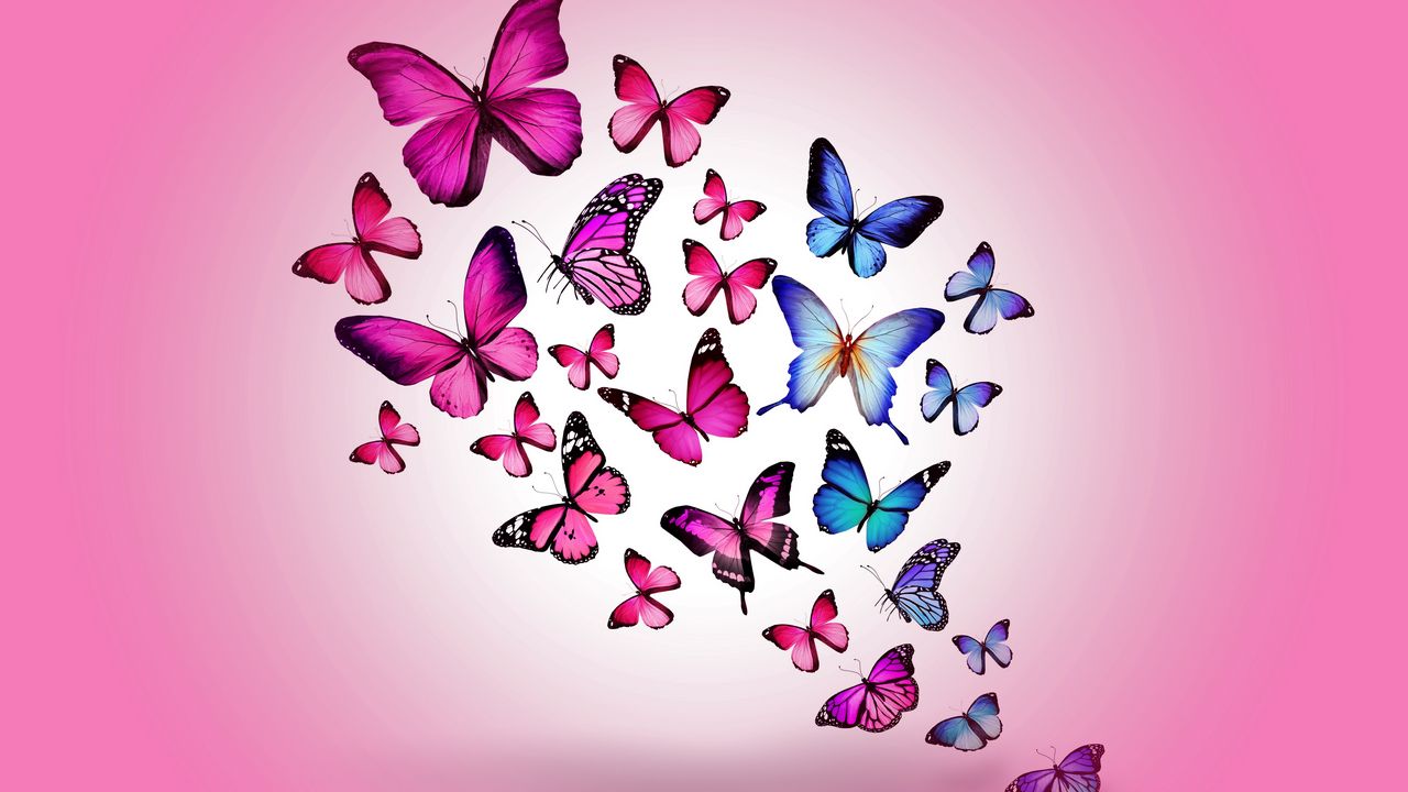 Обои бабочки, рисунок, полет, разноцветные, фон, розовый