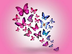 Превью обои бабочки, рисунок, полет, разноцветные, фон, розовый