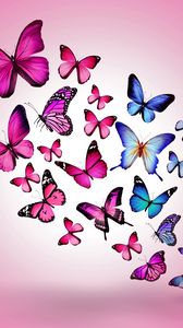 Превью обои бабочки, рисунок, полет, разноцветные, фон, розовый