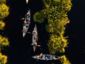 Превью обои байдарки, лодки, река, вид сверху