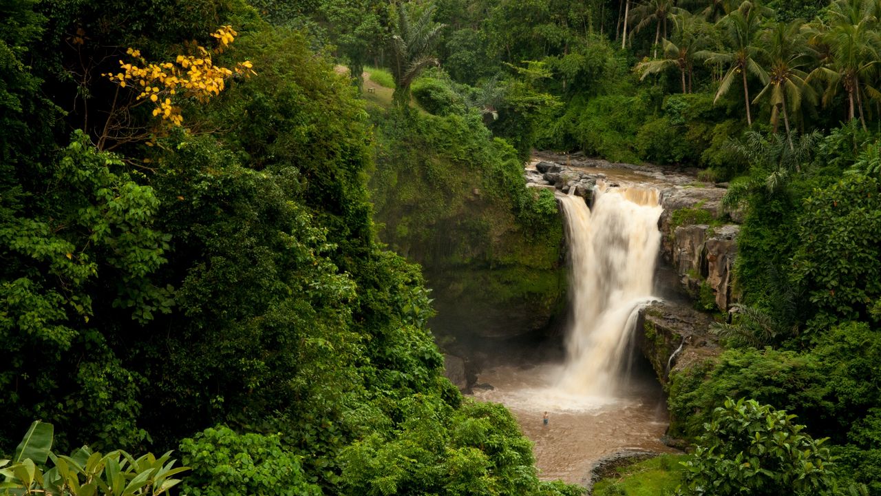 Обои бали, индонезия, водопад, лес, пальмы, скала