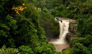 Превью обои бали, индонезия, водопад, лес, пальмы, скала