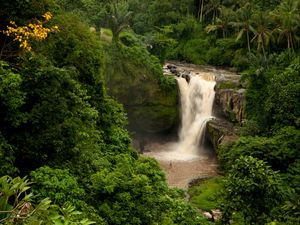 Превью обои бали, индонезия, водопад, лес, пальмы, скала