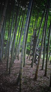 Превью обои бамбук, деревья, пагода, природа