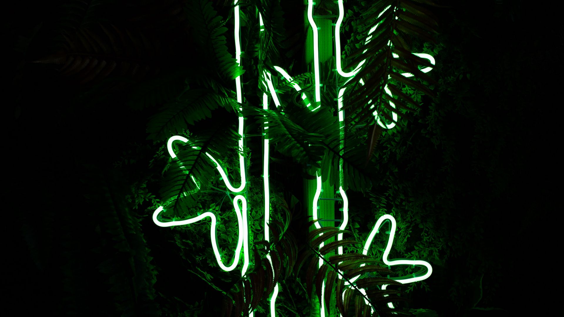 Скачать 1920x1080 бамбук, неон, свет, растение, зеленый обои, картинки full  hd, hdtv, fhd, 1080p