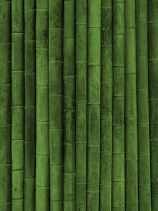 Превью обои бамбук, палки, зеленый, вертикальный
