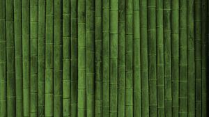 Превью обои бамбук, палки, зеленый, вертикальный