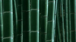 Превью обои бамбук, зеленый, полоски