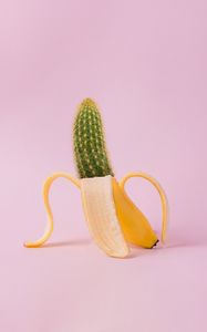 Превью обои банан, кактус, креатив, минимализм