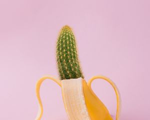 Превью обои банан, кактус, креатив, минимализм