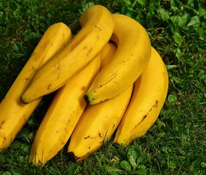 Превью обои бананы, фрукты, спелый, трава