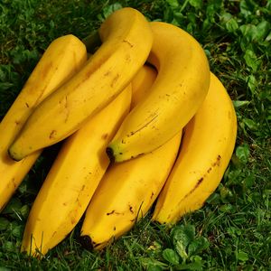 Превью обои бананы, фрукты, спелый, трава
