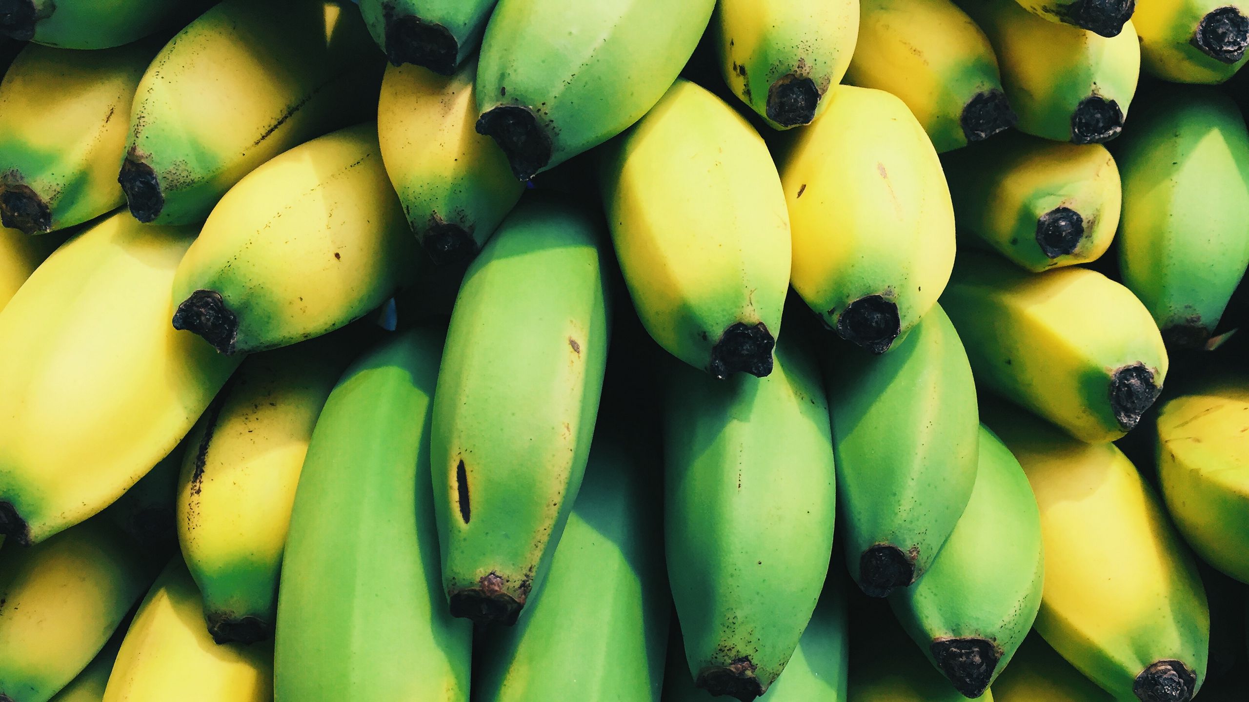 Банан. Зеленые бананы. Незрелый фрукт. Куча плодов бананов символ.