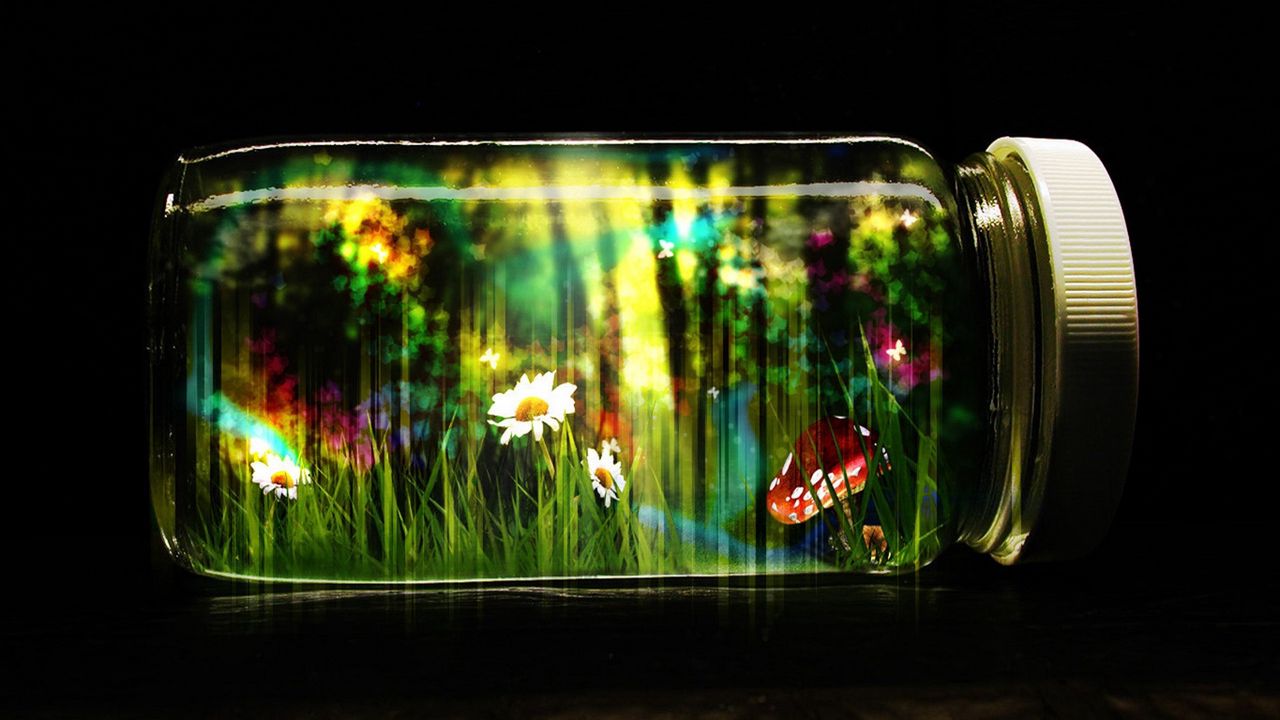 Обои банка, стекло, крышка, бабочки, природа, фантазия