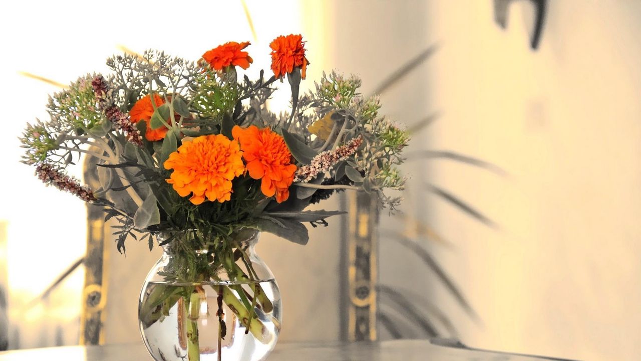 Обои бархотки, цветы, букет, ваза, стол, композиция