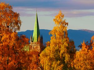 Превью обои башня, архитектура, деревья, осень, желтый, вид сверху