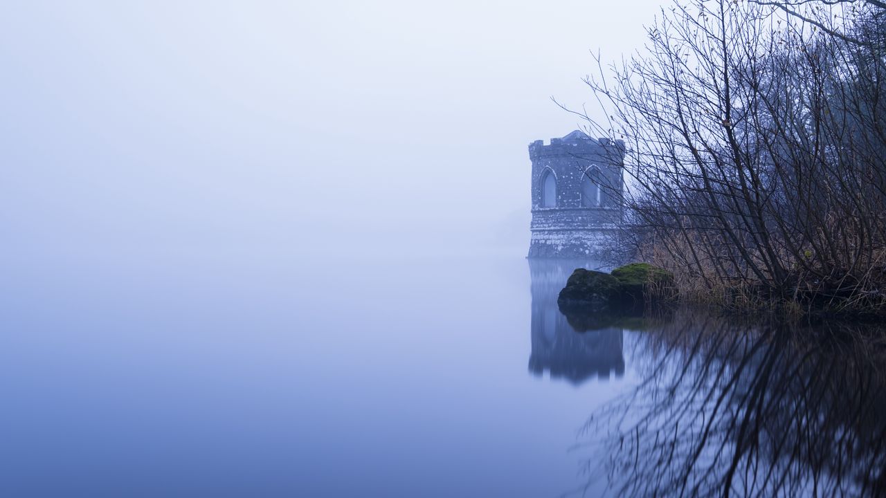 Обои башня, озеро, отражение, дерево, ветки, туман