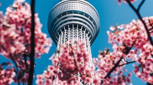 Превью обои башня, сакура, цветы, архитектура, здание, весна