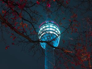 Превью обои башня, здание, свет, ветки, ночь