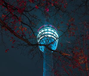 Превью обои башня, здание, свет, ветки, ночь