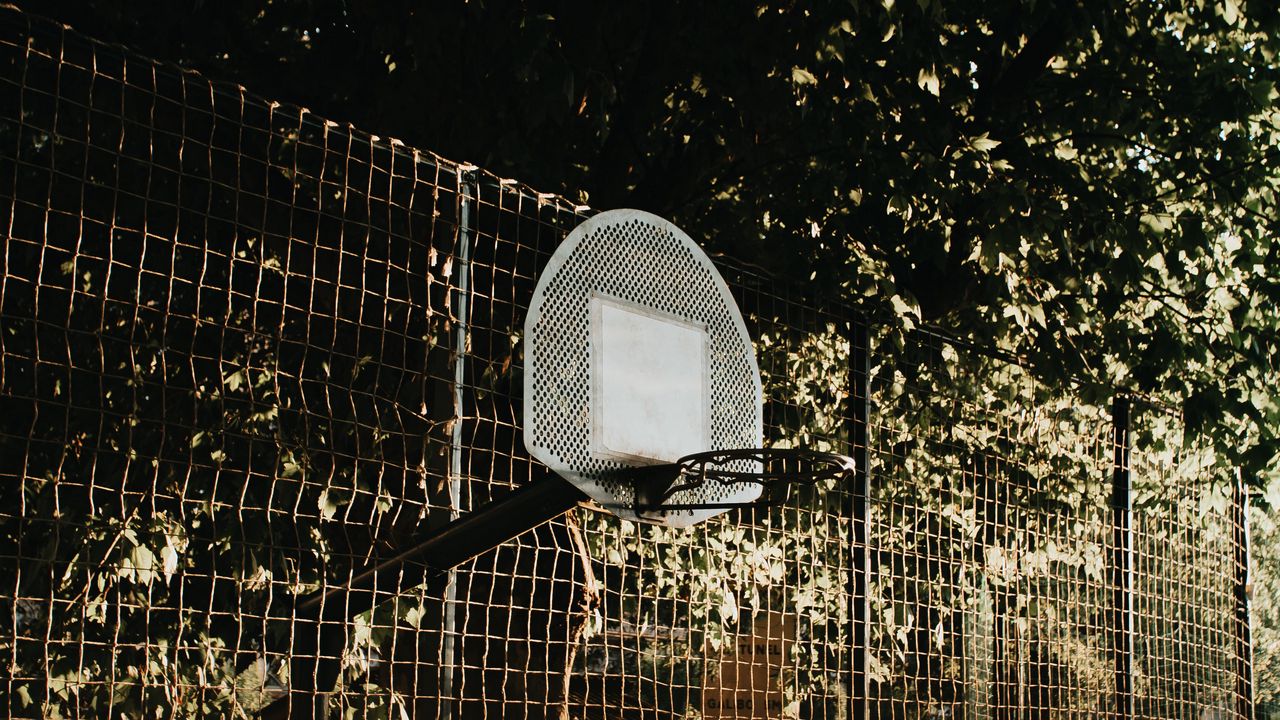 Обои баскетбол, баскетбольный щит, сетка, деревья