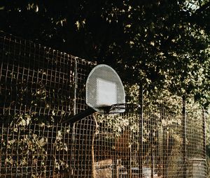 Превью обои баскетбол, баскетбольный щит, сетка, деревья