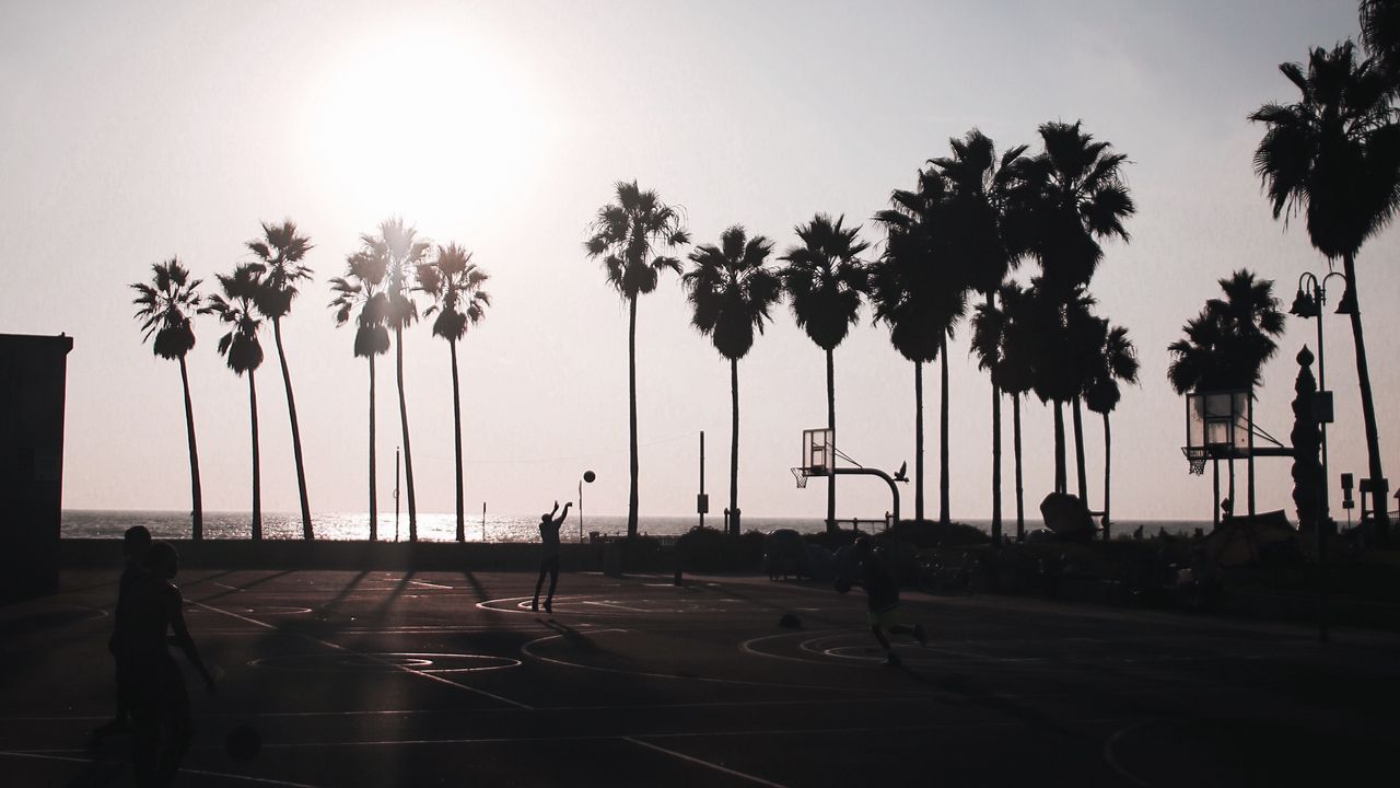 Обои баскетбол, площадка, темный, силуэты, пальмы, солнце