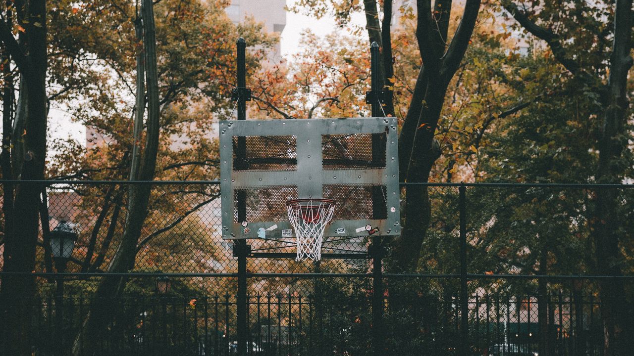 Обои баскетбольная площадка, баскетбол, площадка, корзина, осень