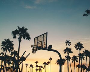 Превью обои баскетбольная стойка, баскетбол, спорт, силуэты, пальмы