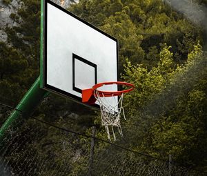Превью обои баскетбольное кольцо, баскетбол, площадка, деревья, спорт