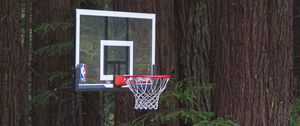 Превью обои баскетбольное кольцо, сетка, баскетбол, спорт, хвоя, деревья