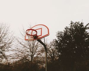 Превью обои баскетбольный щит, баскетбольное кольцо, площадка, деревья