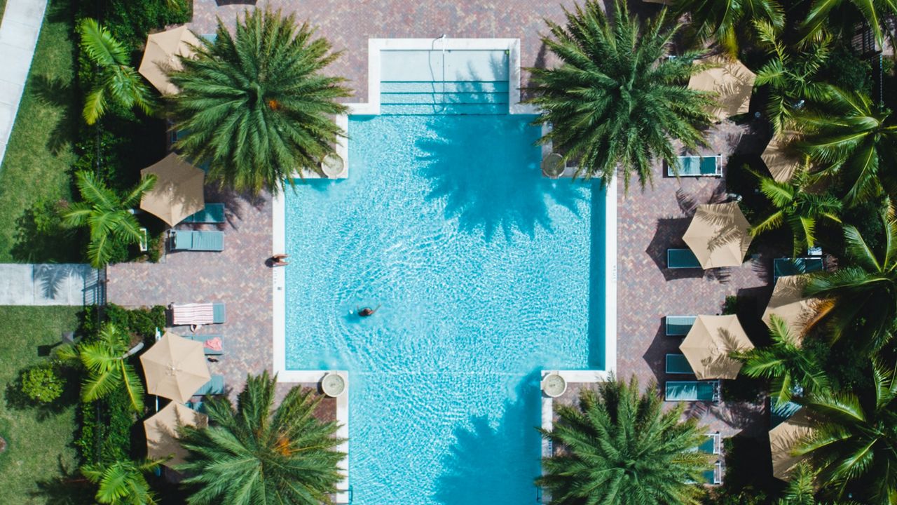 Обои бассейн, пальмы, вид сверху