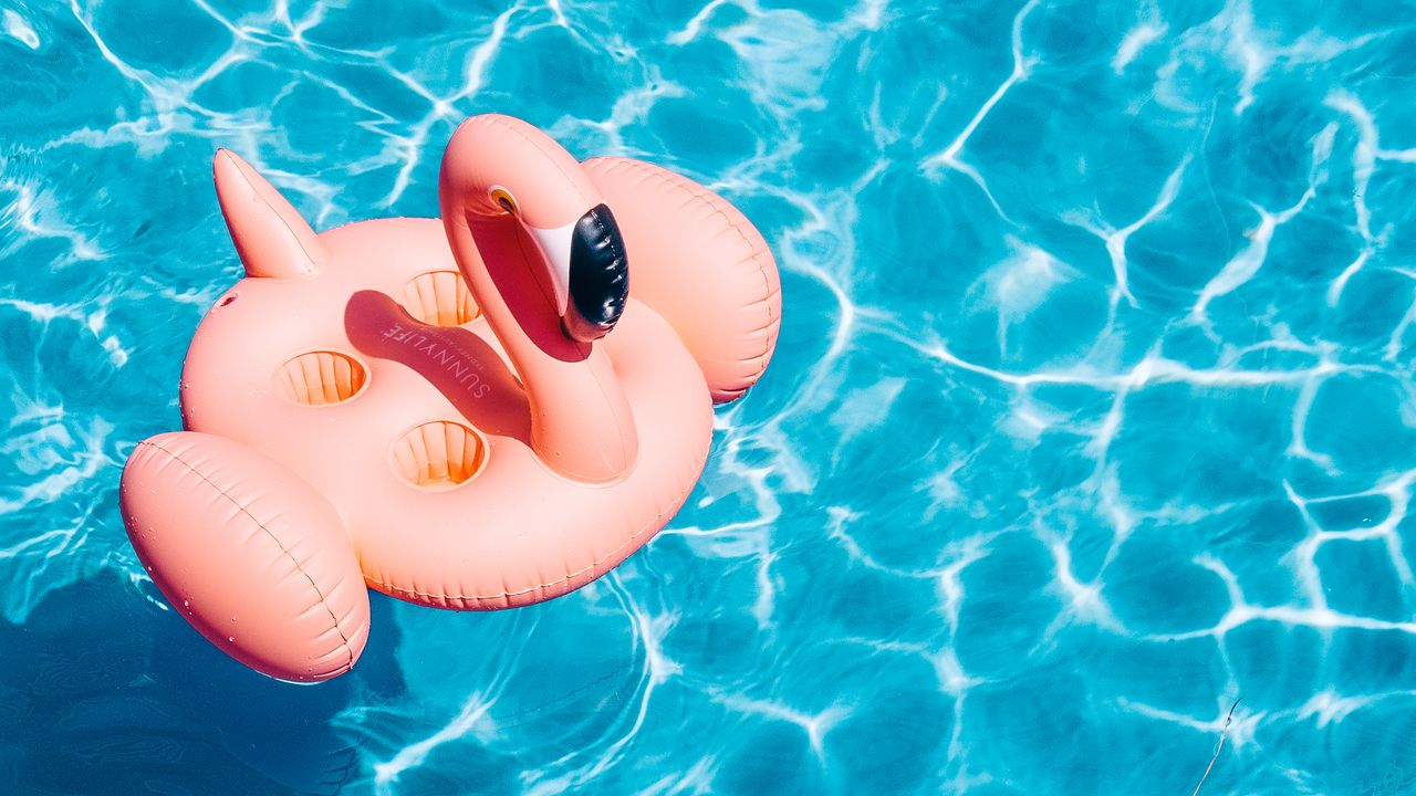 Обои бассейн, вода, фламинго, лето
