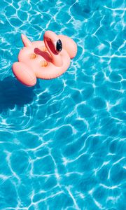 Превью обои бассейн, вода, фламинго, лето