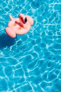 Превью обои бассейн, вода, фламинго, лето