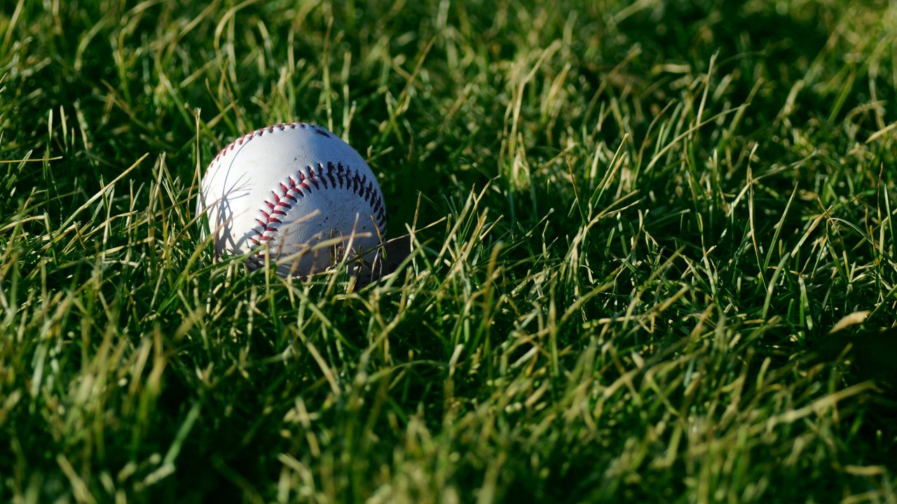 Обои бейсбол, мяч, трава, спорт