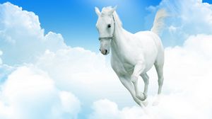 Превью обои белоснежный конь, облака, скакать