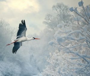 Превью обои белый аист, аист, птица, снег, зима, деревья