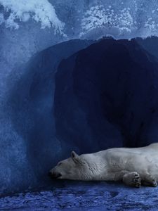 Превью обои белый медведь, лёд, голубой фон