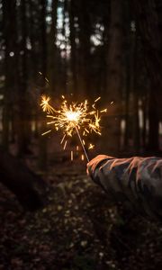 Превью обои бенгальский огонь, рука, ночь, лес