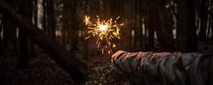 Превью обои бенгальский огонь, рука, ночь, лес