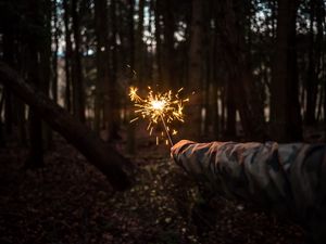 Превью обои бенгальский огонь, рука, ночь, лес
