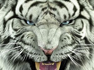 Превью обои бенгальский тигр, тигр, большая кошка, хищник