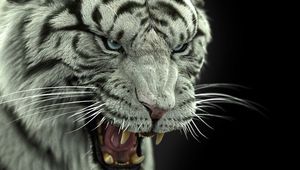 Превью обои бенгальский тигр, тигр, большая кошка, хищник, клыки