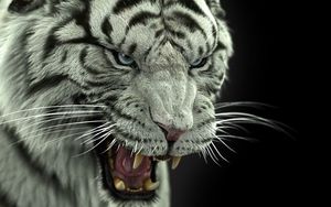 Превью обои бенгальский тигр, тигр, большая кошка, хищник, клыки