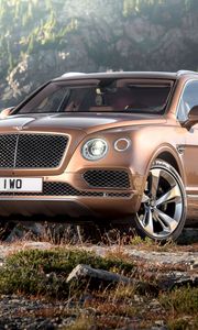 Превью обои bentley, bentayga, коричневый, вид сбоку