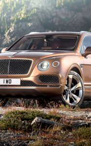 Превью обои bentley, bentayga, коричневый, вид сбоку