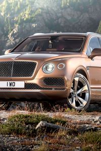 Превью обои bentley, bentayga, коричневый, вид сбоку