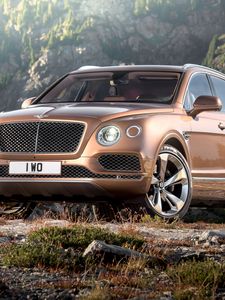 Превью обои bentley, bentayga, коричневый, вид сбоку